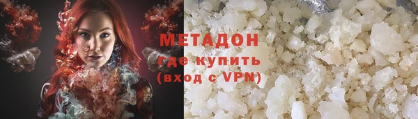 прущие грибы Белокуриха