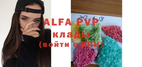прущие грибы Белокуриха