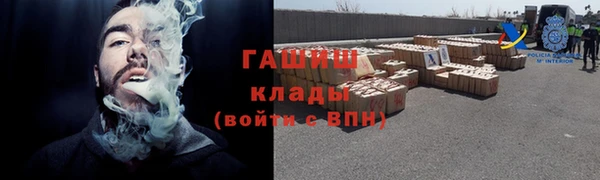 прущие грибы Белокуриха