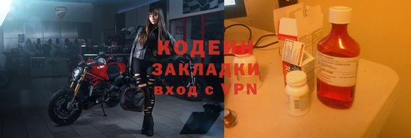 прущие грибы Белокуриха