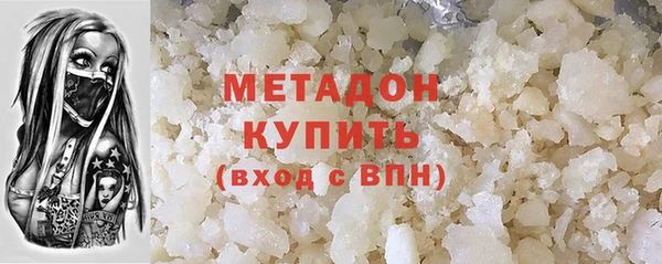 прущие грибы Белокуриха