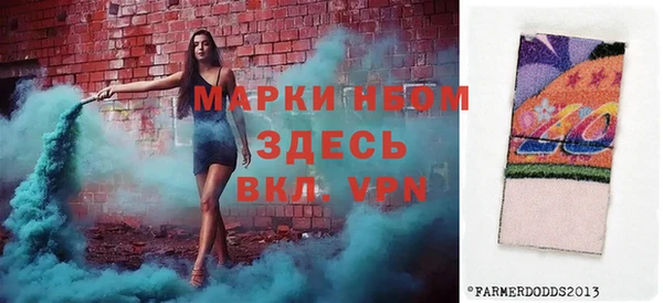 прущие грибы Белокуриха