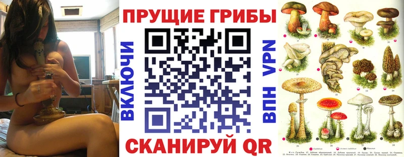 закладка  Вилючинск  Галлюциногенные грибы прущие грибы 