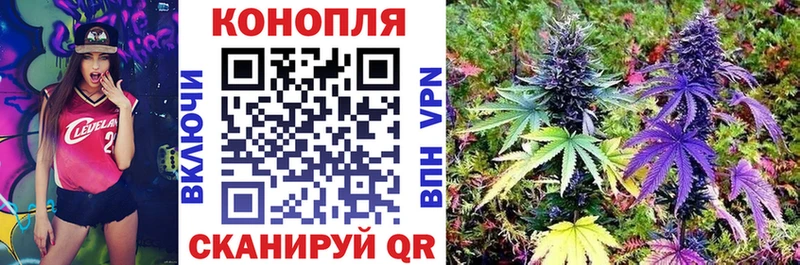 где купить   Вилючинск  Каннабис ГИДРОПОН 